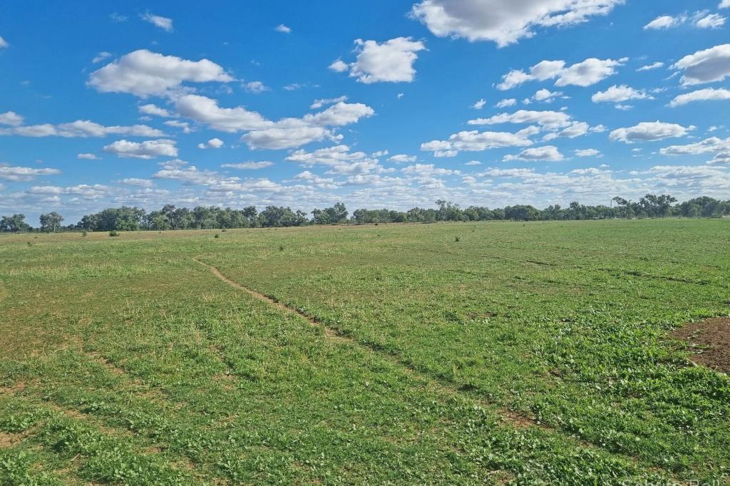 151 Burban St, Brewarrina, NSW 2839