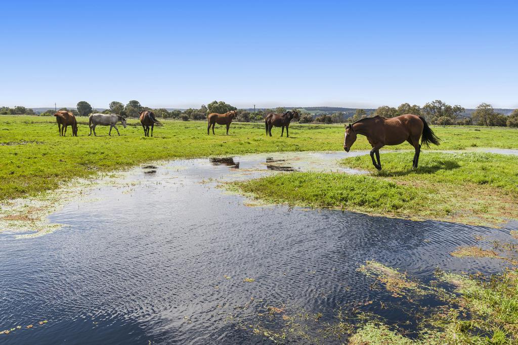 24 Gaston Rd, Bullsbrook, WA 6084