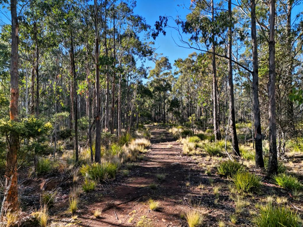 123 Lake View Rd, Lake Leake, TAS 7210