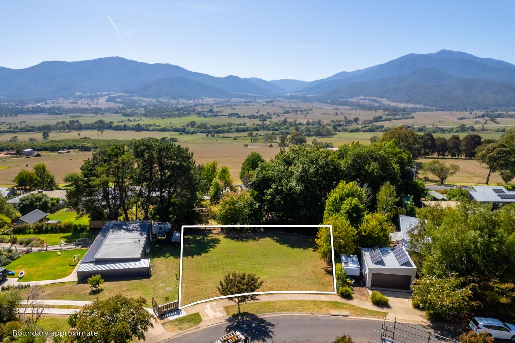 16 Fiddleback Dr, Tawonga South, VIC 3698