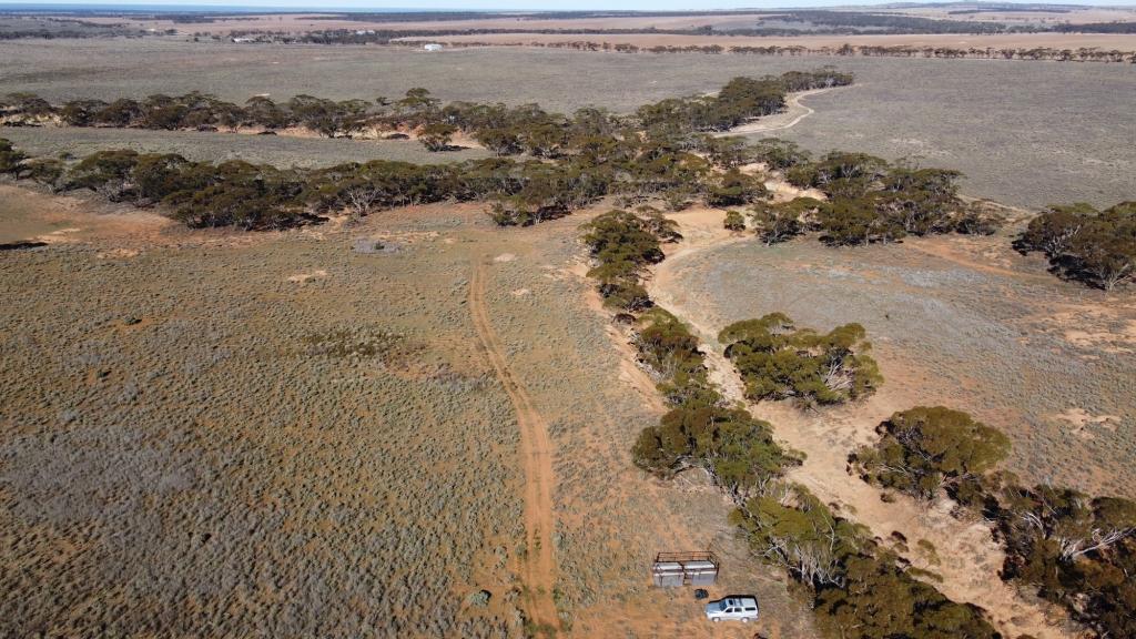 LOT 289 STOCK ROUTE RD, SUTHERLANDS, SA 5374