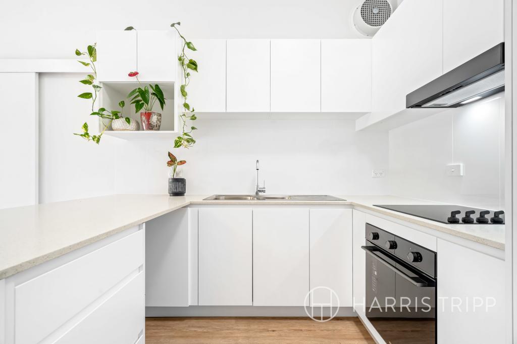 1/3 Grainger Ave, Ashfield, NSW 2131