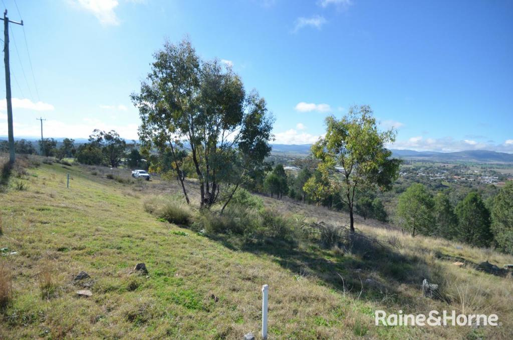 60 RAY CARTER DR, QUIRINDI, NSW 2343