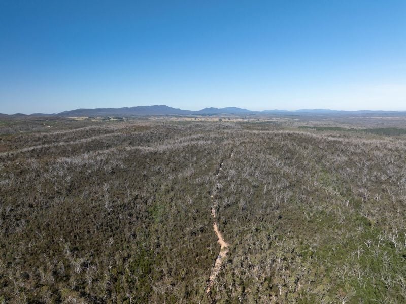 8203 Nerriga Rd, Tomboye, NSW 2622