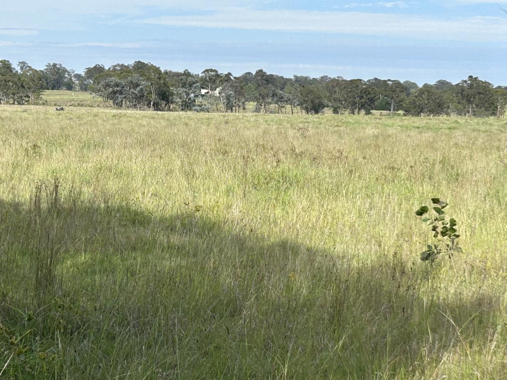 LAND 69 OLD TALLONG RD, MARULAN, NSW 2579