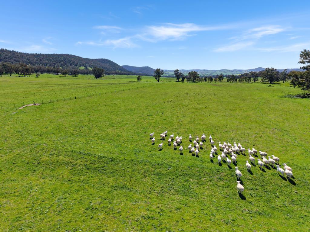 223 Rodwells Rd, Murga, NSW 2864