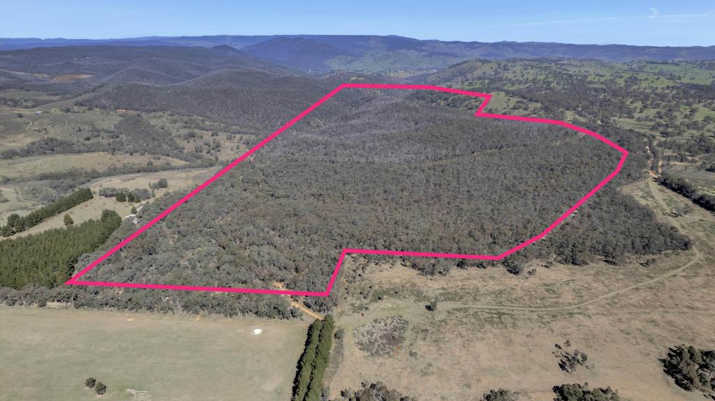 539 Razorback Rd, Running Stream, NSW 2850