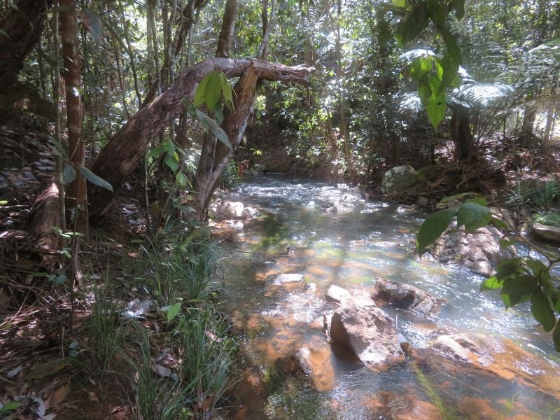 135 Ross Rd, Evelyn, QLD 4888