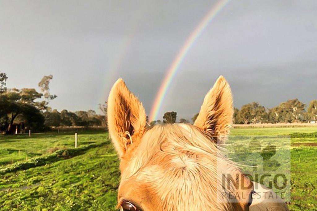 1149 Beechworth-Wodonga Rd, Wooragee, VIC 3747