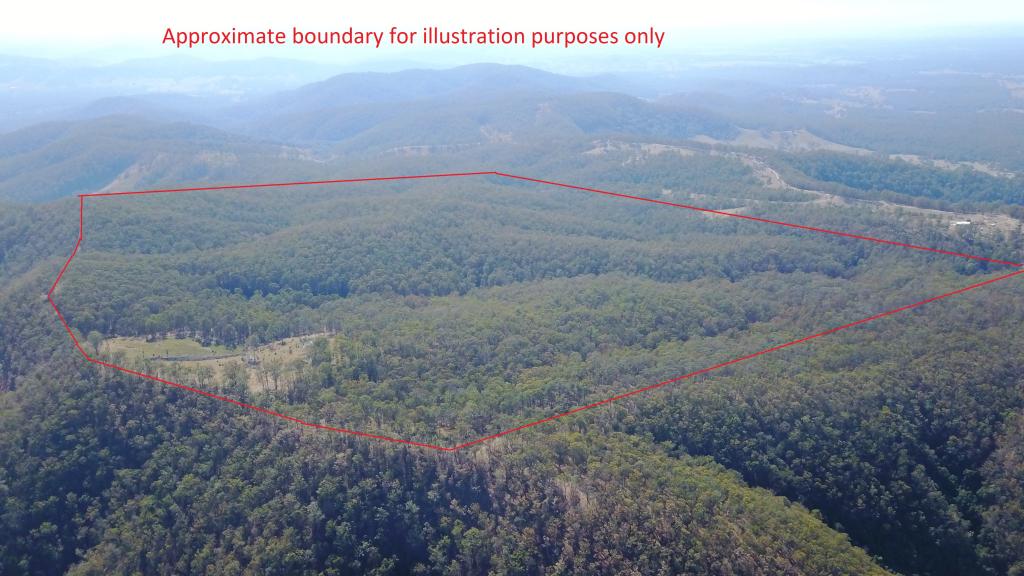 702 Comboyne Rd, Byabarra, NSW 2446