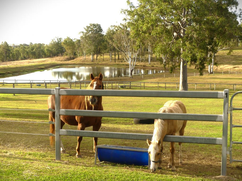 'Little J Farm' 87 Charlwood Rd, Boonah, QLD 4310