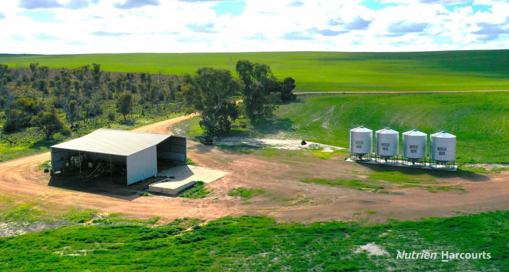 . Andrina Farm, Warradarge, WA 6518