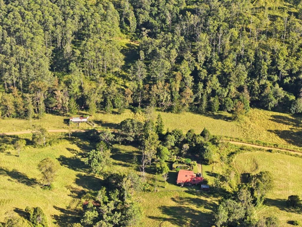 2134 COLLINS CREEK RD, KYOGLE, NSW 2474