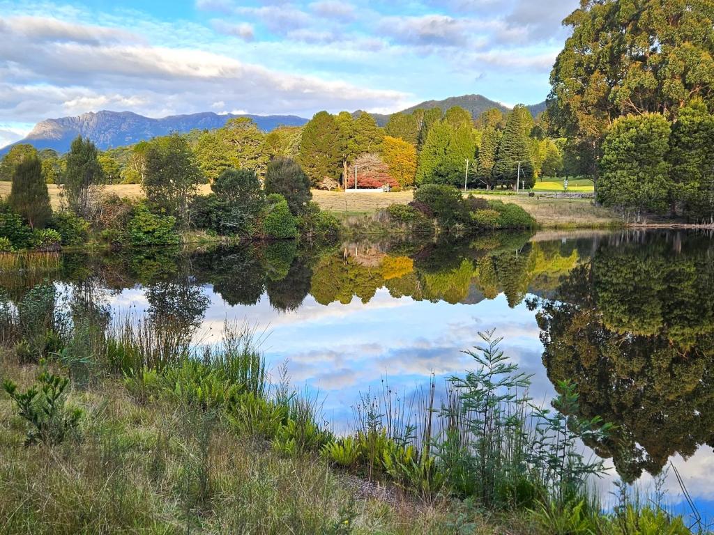 12384 Murchison Hwy, Rosebery, TAS 7470