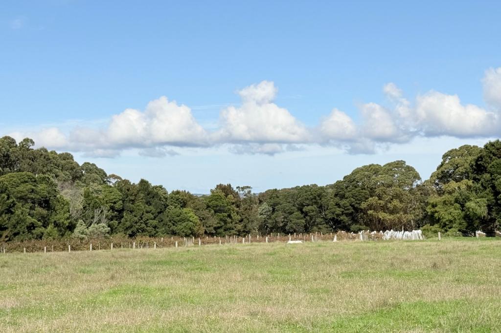 Lot 102/238 Link Rd, Marbelup, WA 6330