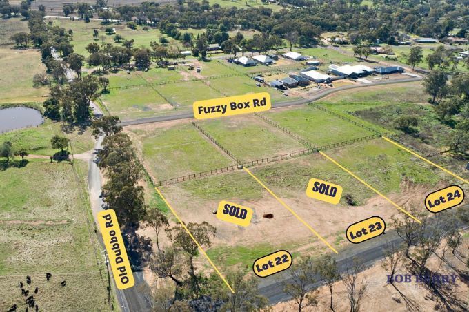 51 Old Dubbo Rd, Geurie, NSW 2818