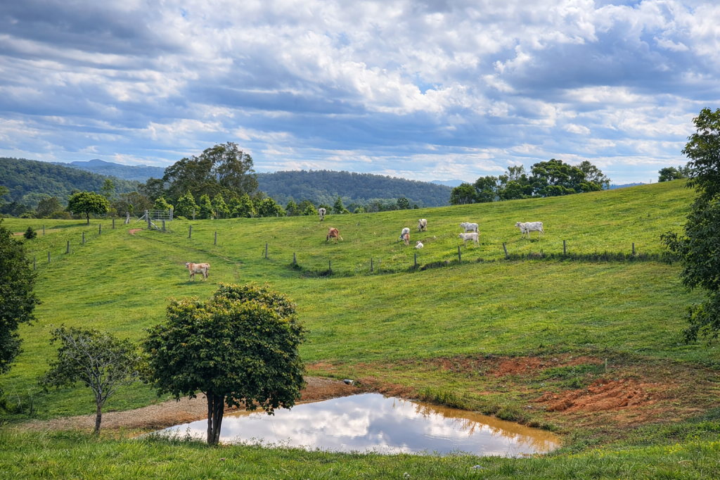 205 Allen Rd, Chatsworth, QLD 4570