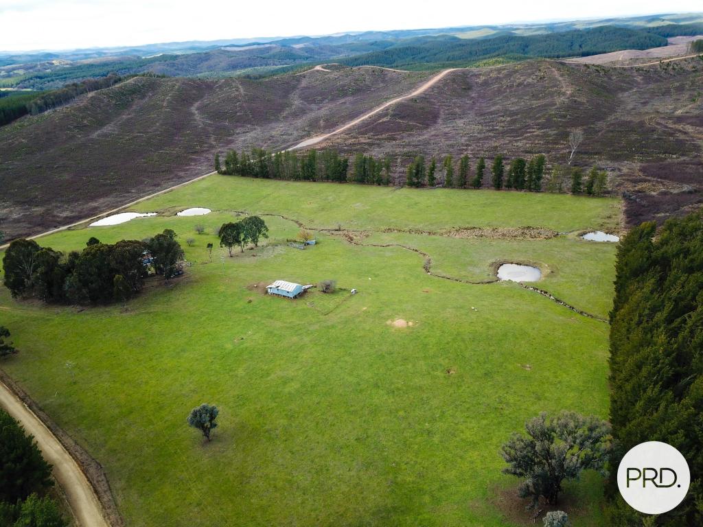 233 Logans Rd, Tumbarumba, NSW 2653