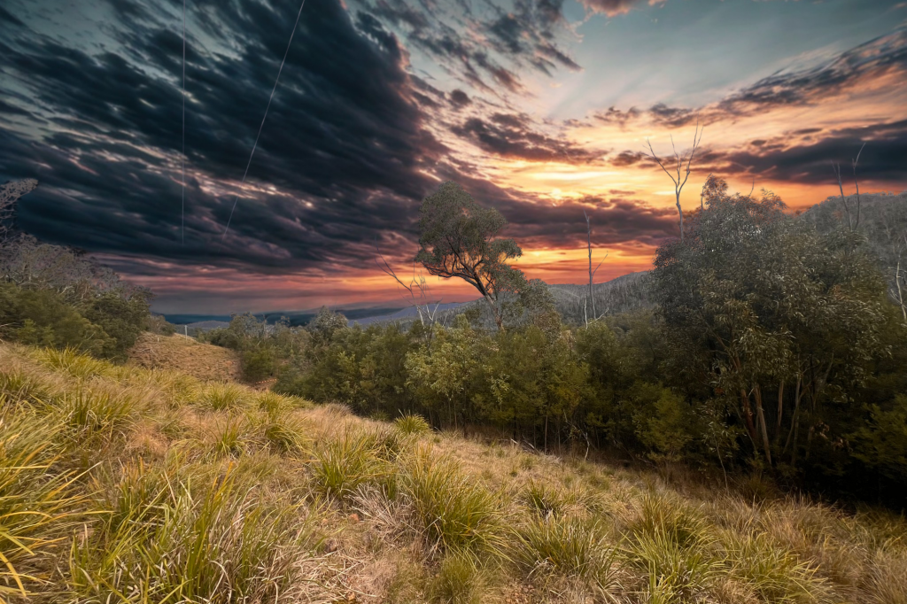 5484 Araluen Rd, Araluen, NSW 2622