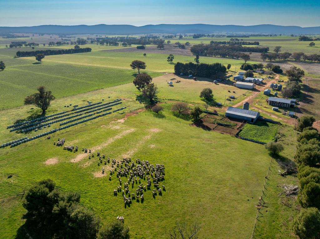 501 Mandagery Rd, Mandagery, NSW 2870