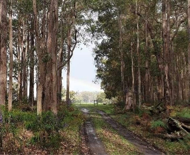 Lot 106 Wetherall Rd, Quinninup, WA 6258