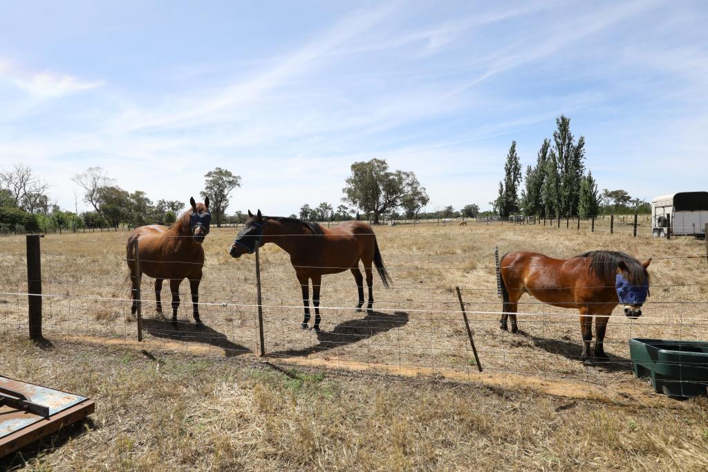 LOT 2 BENALLA-TOCUMWAL RD, MUCKATAH, VIC 3644