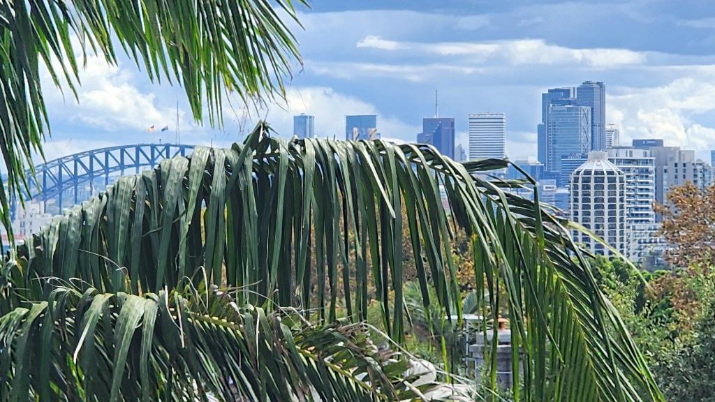 31/237 Underwood St, Paddington, NSW 2021