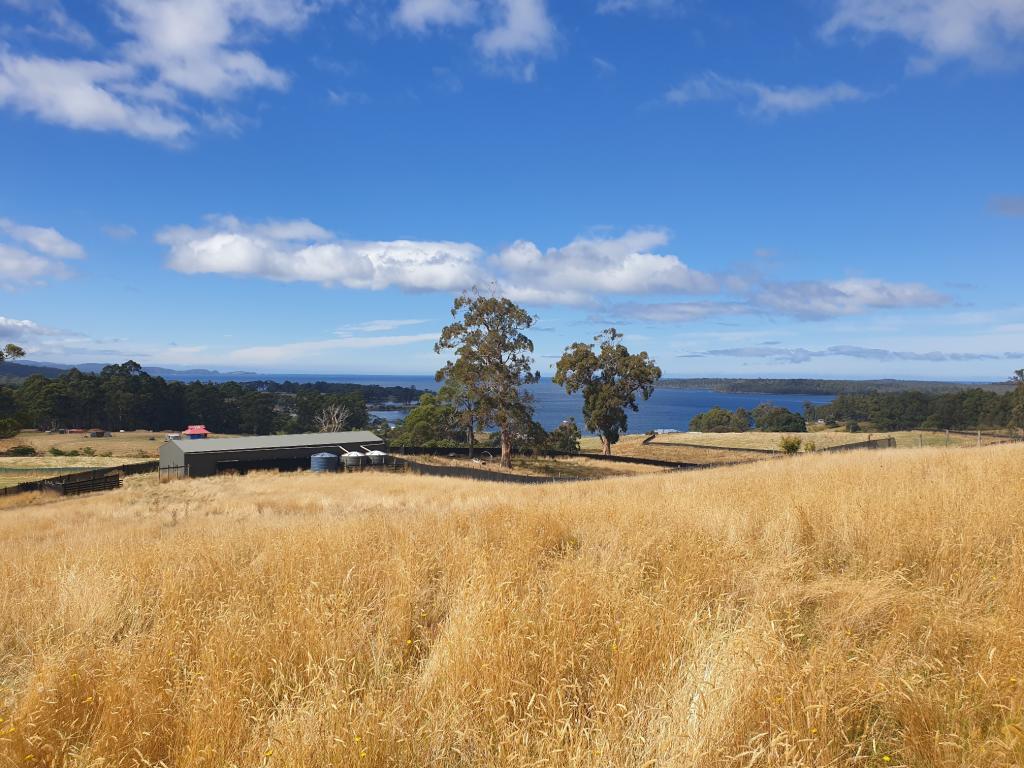 Lots 1 & 3 Plummers Rd, Southport, TAS 7109