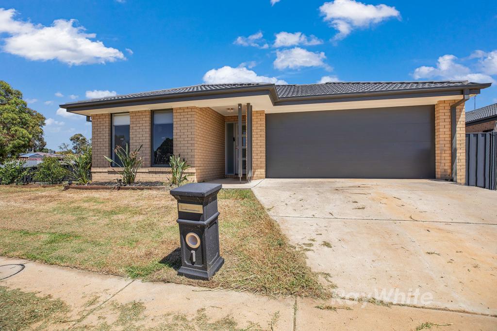 1 Mclean Ct, Elmore, VIC 3558