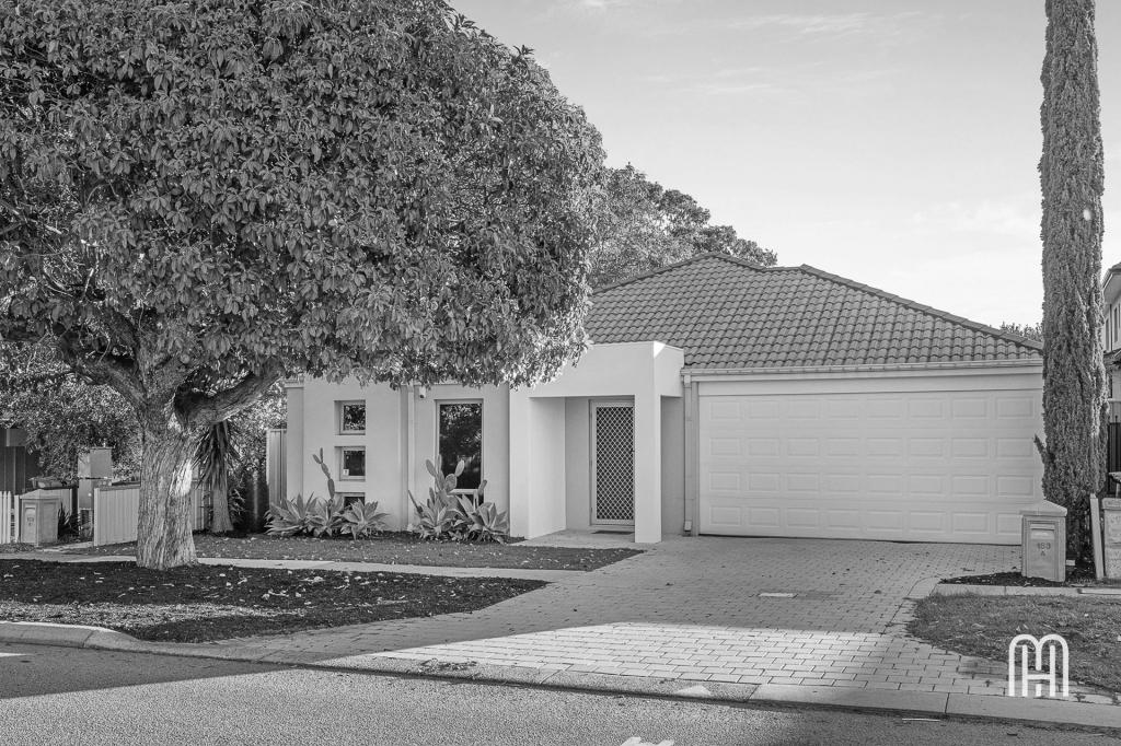 153a Herbert St, Doubleview, WA 6018