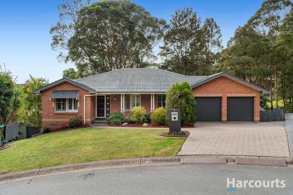3 Grosvenor Pl, Valentine, NSW 2280
