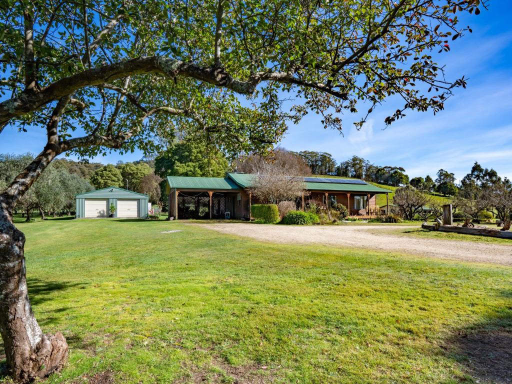 26905 Tasman Hwy, Goshen, TAS 7216