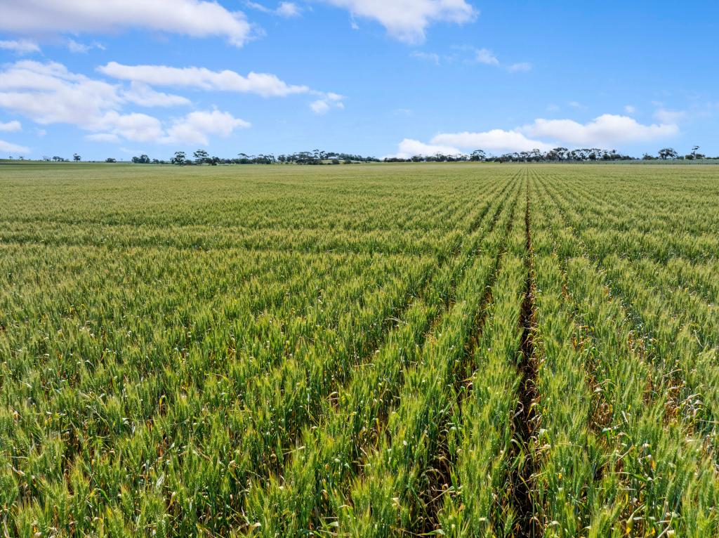 'PARETA FARMS' KUHLMANN RD, FREELING, SA 5372