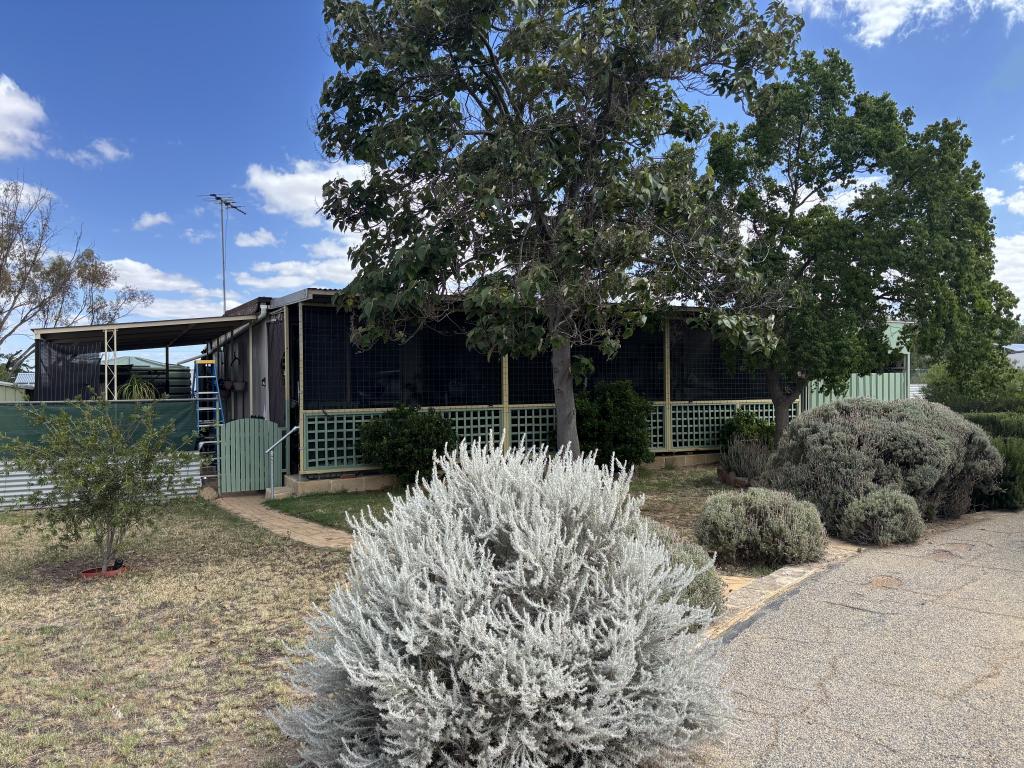 10 Massingham St, Kellerberrin, WA 6410