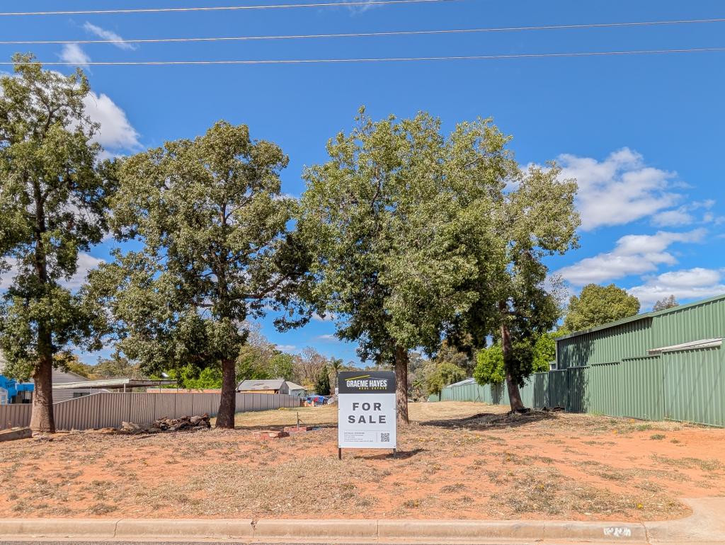 22 Malcolm St, Nyah, VIC 3594