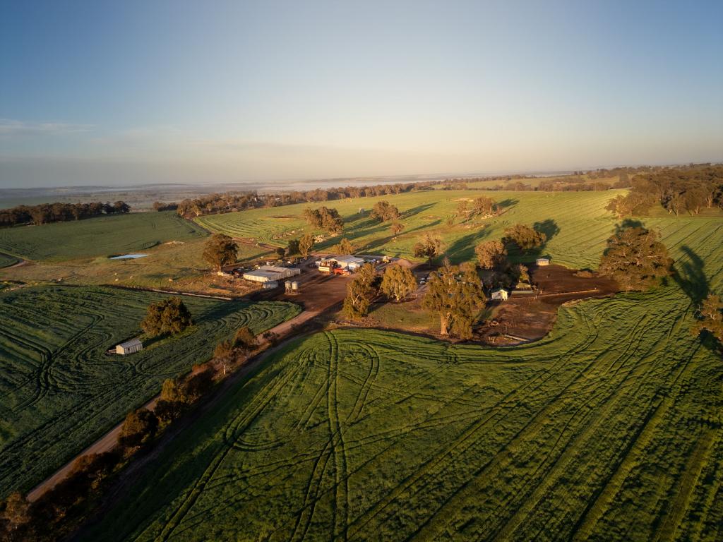 Panoro, 18204 Albany Hwy, Arthur River, WA 6315