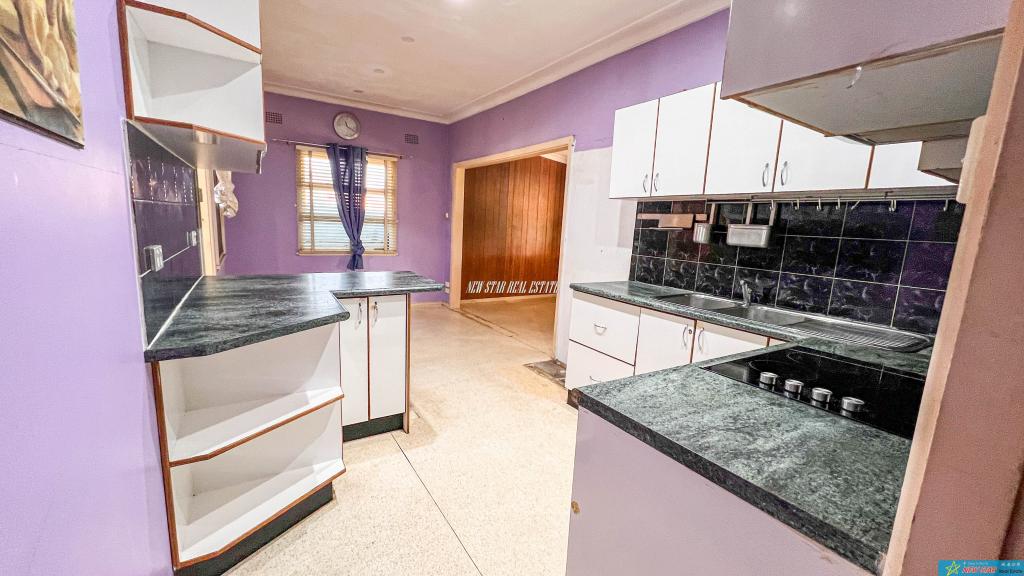 8 Birchgrove Ave, Canley Heights, NSW 2166