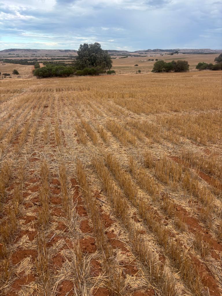 Lot 1 Giles Rd, Moonyoonooka, WA 6532