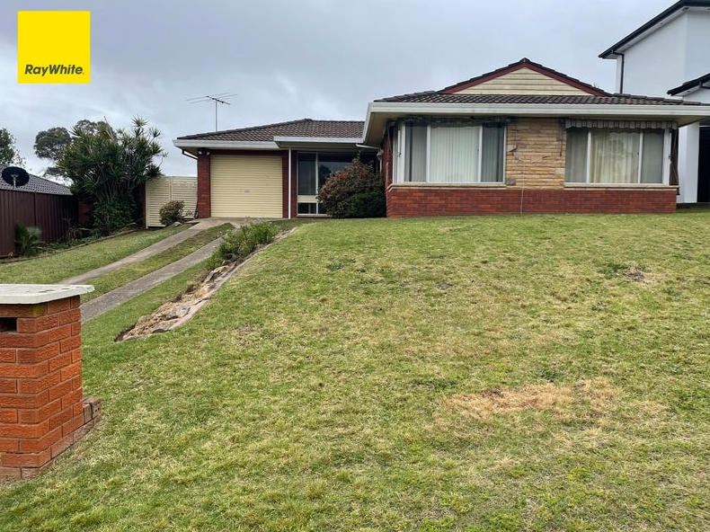 4 NORTON PL, MINTO, NSW 2566