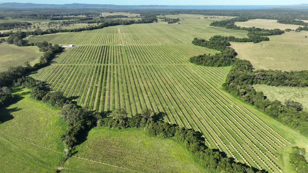 Contact Agent For Address, Como, QLD 4571