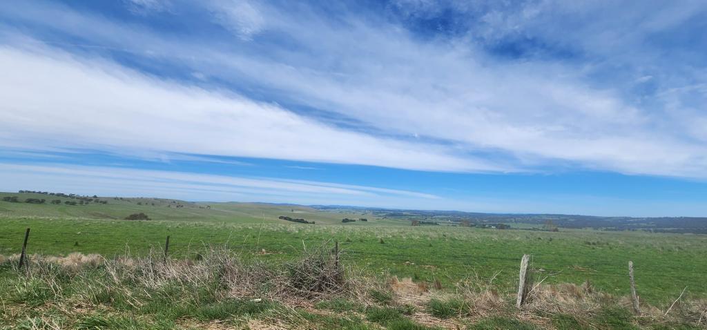 Lot 2, 175 Pomeroy Mill Ford Rd, Mummel, NSW 2580