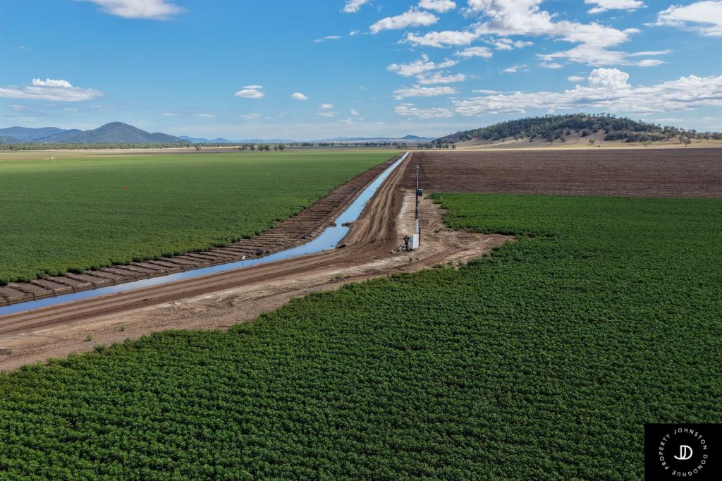 113 Kilphysic Rd, Gunnedah, NSW 2380