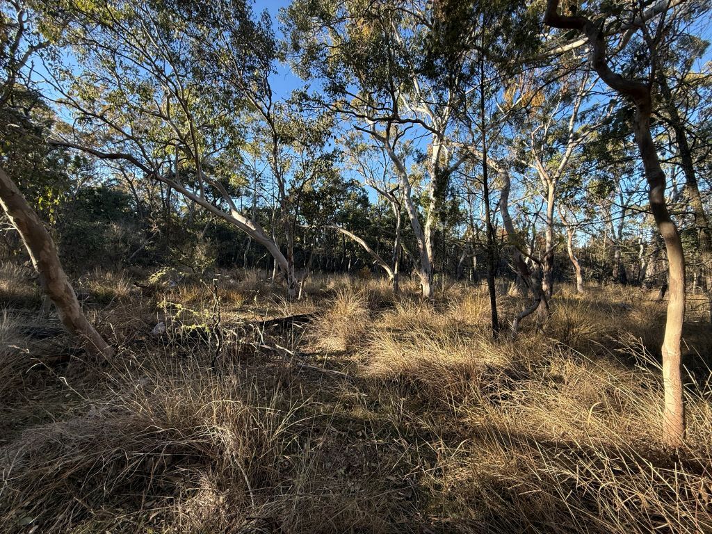 Lot 2 Winkler Rd, Glen Aplin, QLD 4381