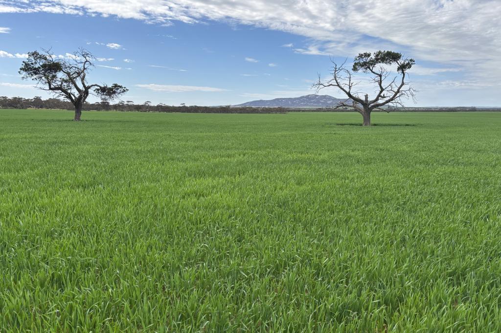 74 Humphries Rd, Darke Peak, SA 5642