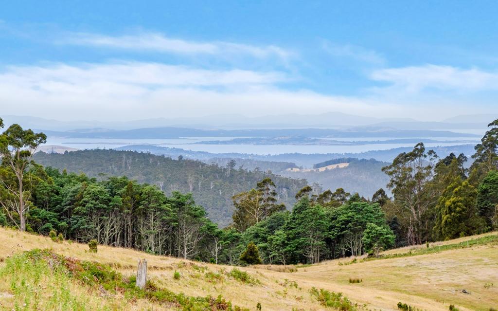 160 Coal Mine Rd, Kaoota, TAS 7150