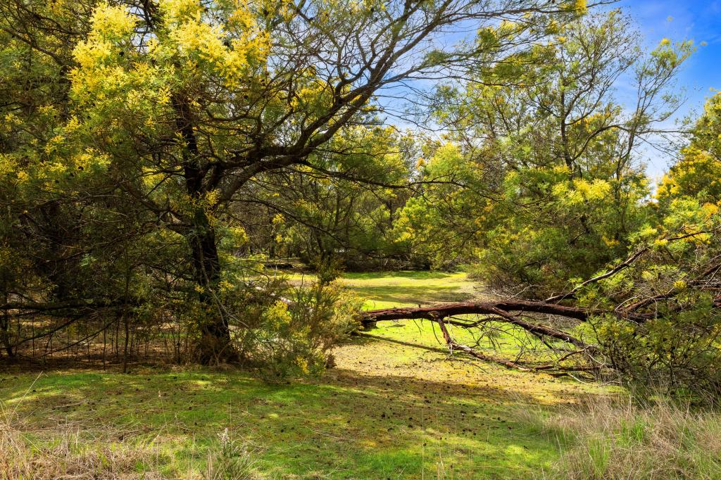 Allotment 2036 Drummond St, Creswick, VIC 3363