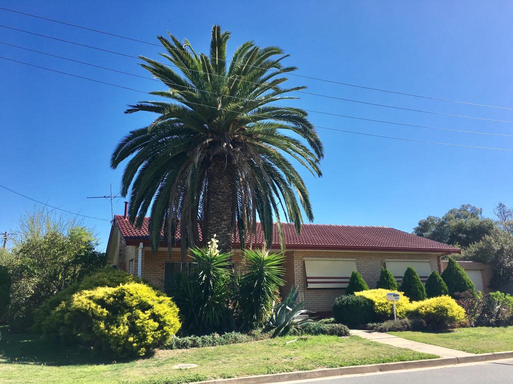 520 Mutsch St, Lavington, NSW 2641