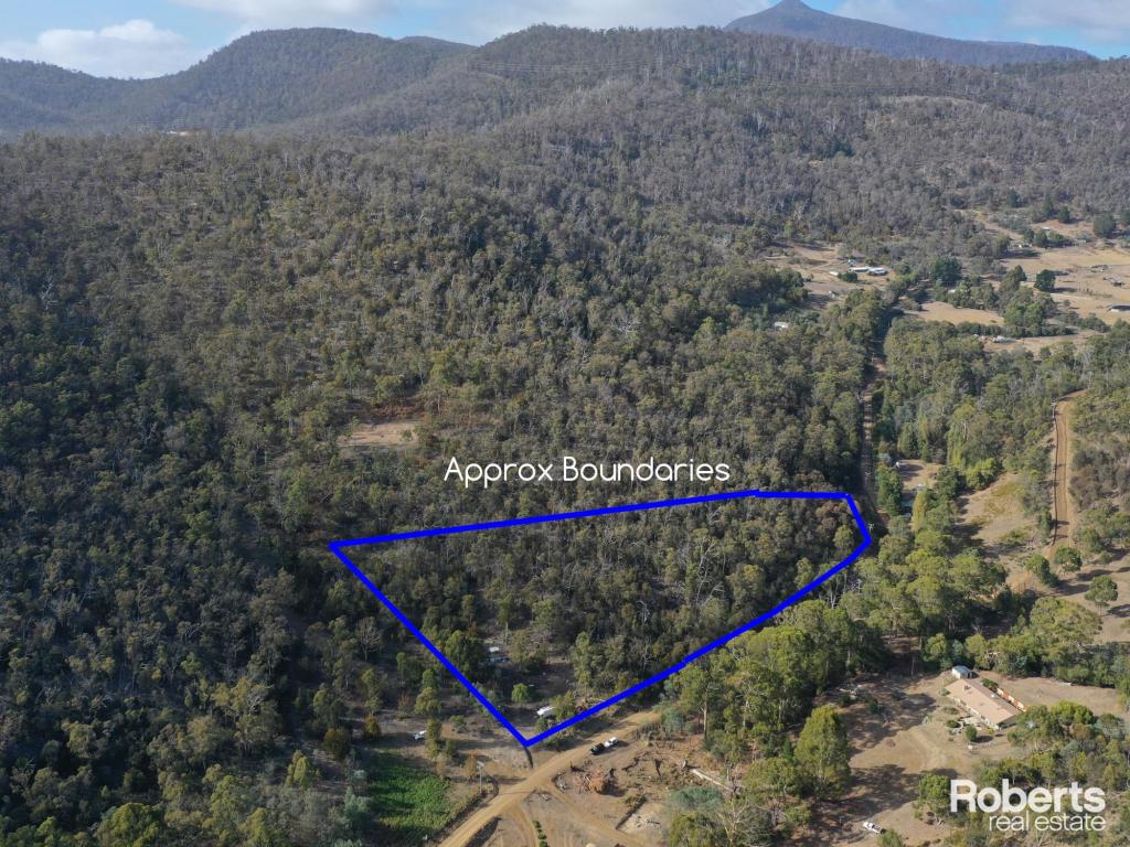 Lot 7 Collins Cap Rd, Molesworth, TAS 7140