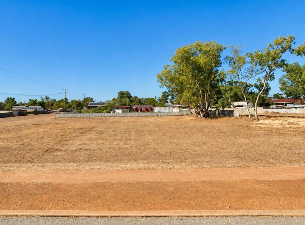 16 Shenton St, Mingenew, WA 6522
