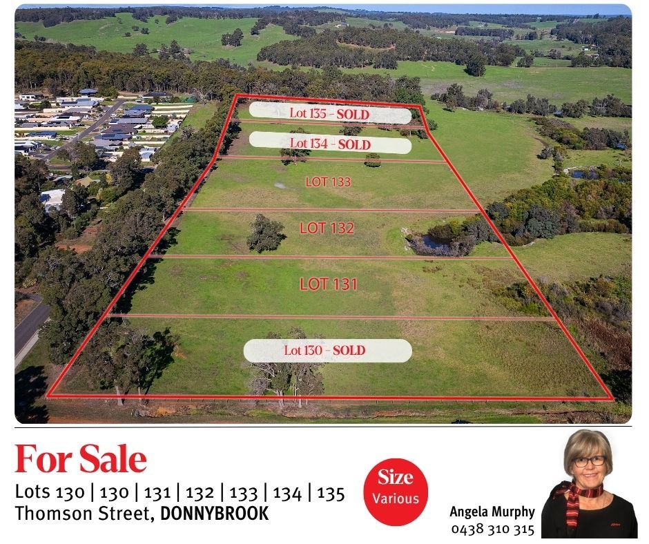 LOT 131 THOMSON ST, DONNYBROOK, WA 6239